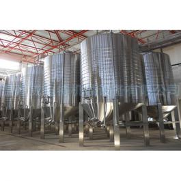 不銹鋼桑椹酒發酵罐